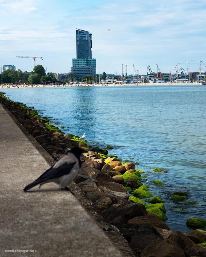 Osada Kormorana Leilighet Gdynia Eksteriør bilde